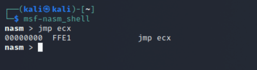 JMP ECX